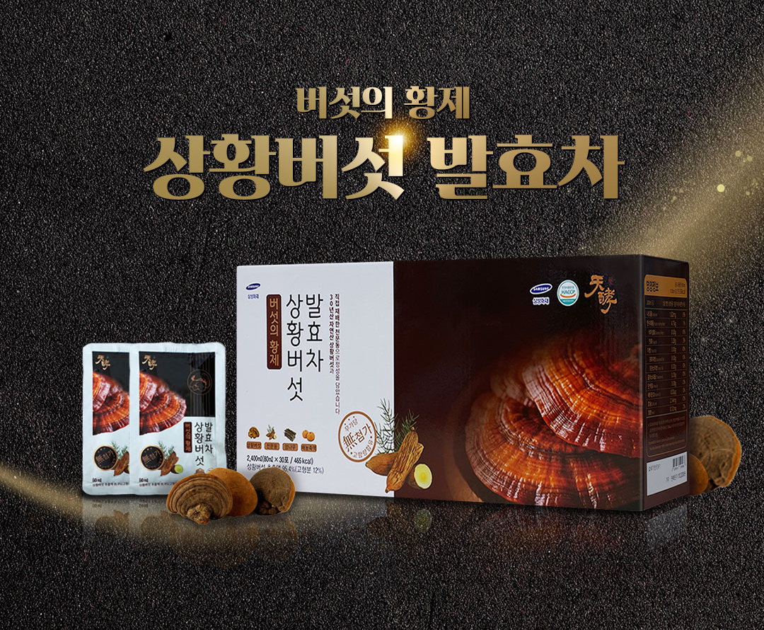 상황버섯 발효차