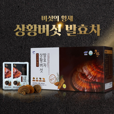 상황버섯 발효차